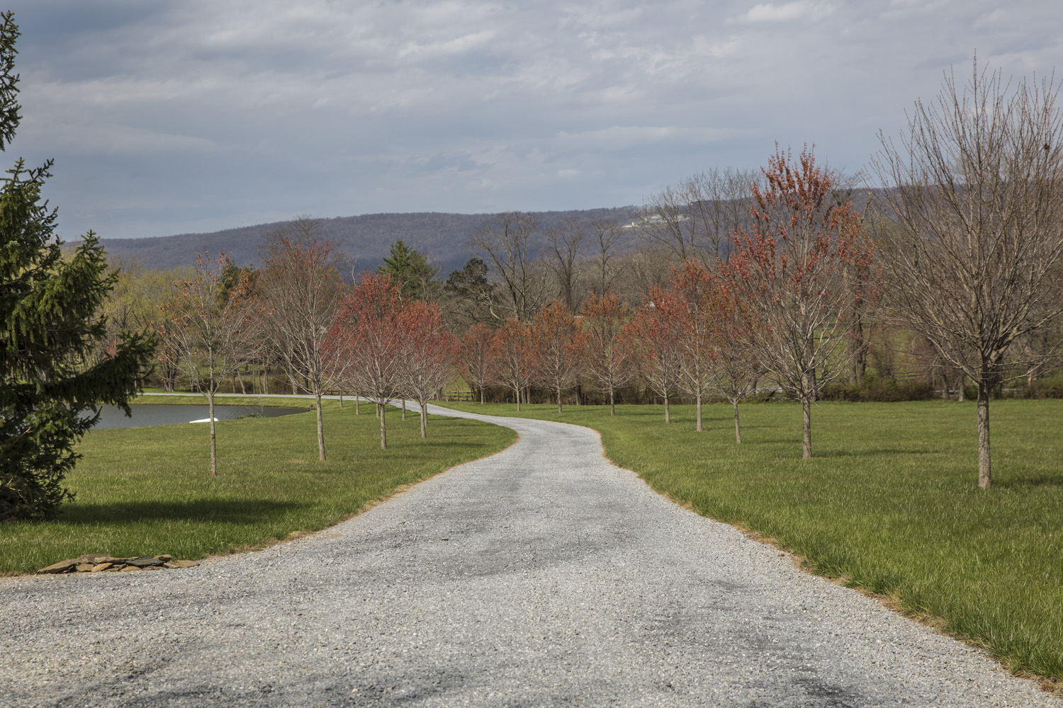 Thomas Talbot Exclusive Real Estate Middleburg Virginia TUCKAHOE