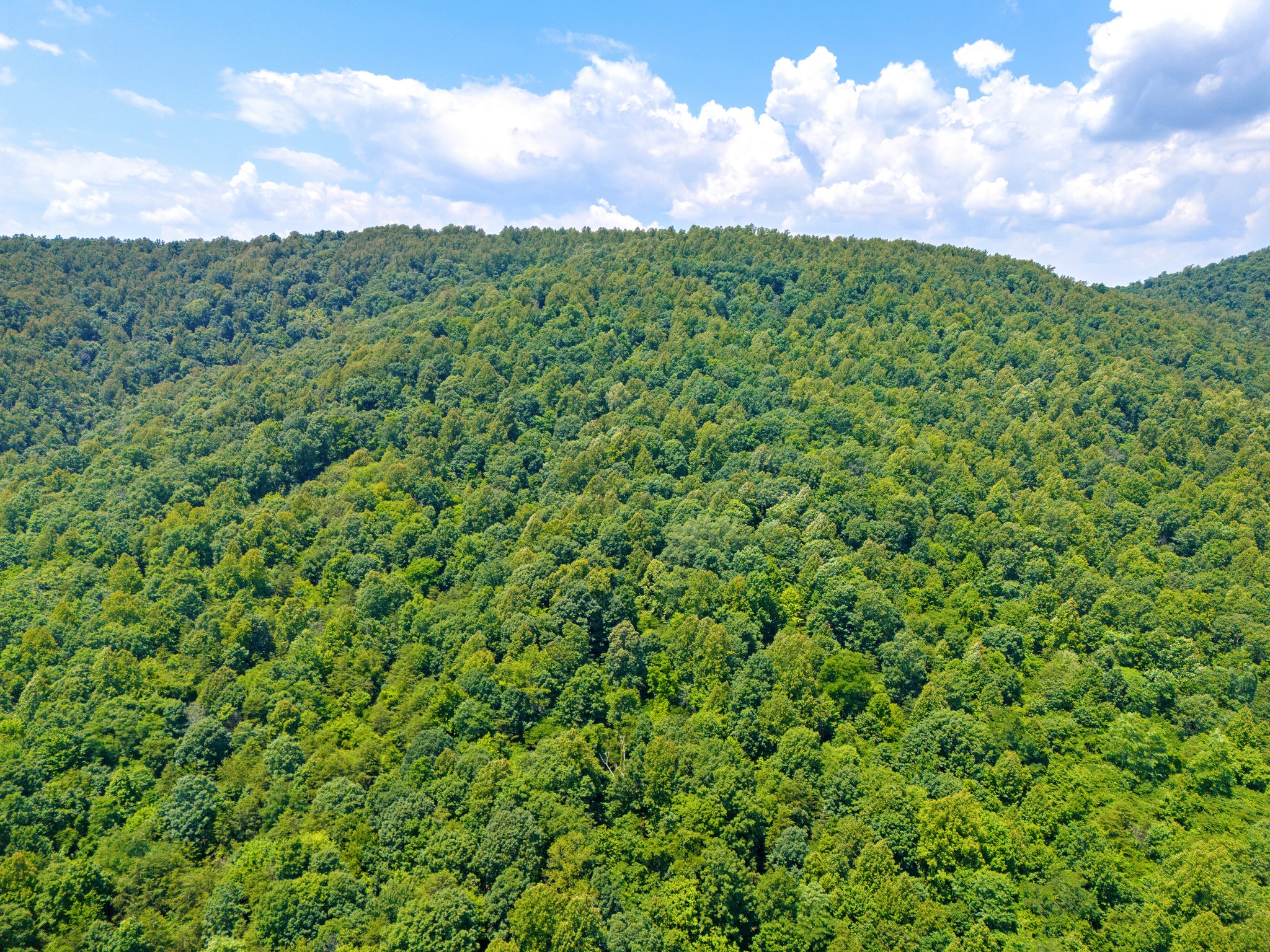 Talbot Land Thomas & Talbot | LAND - Stony Point Pass